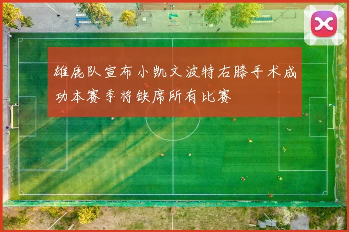 雄鹿队宣布小凯文波特右膝手术成功本赛季将缺席所有比赛